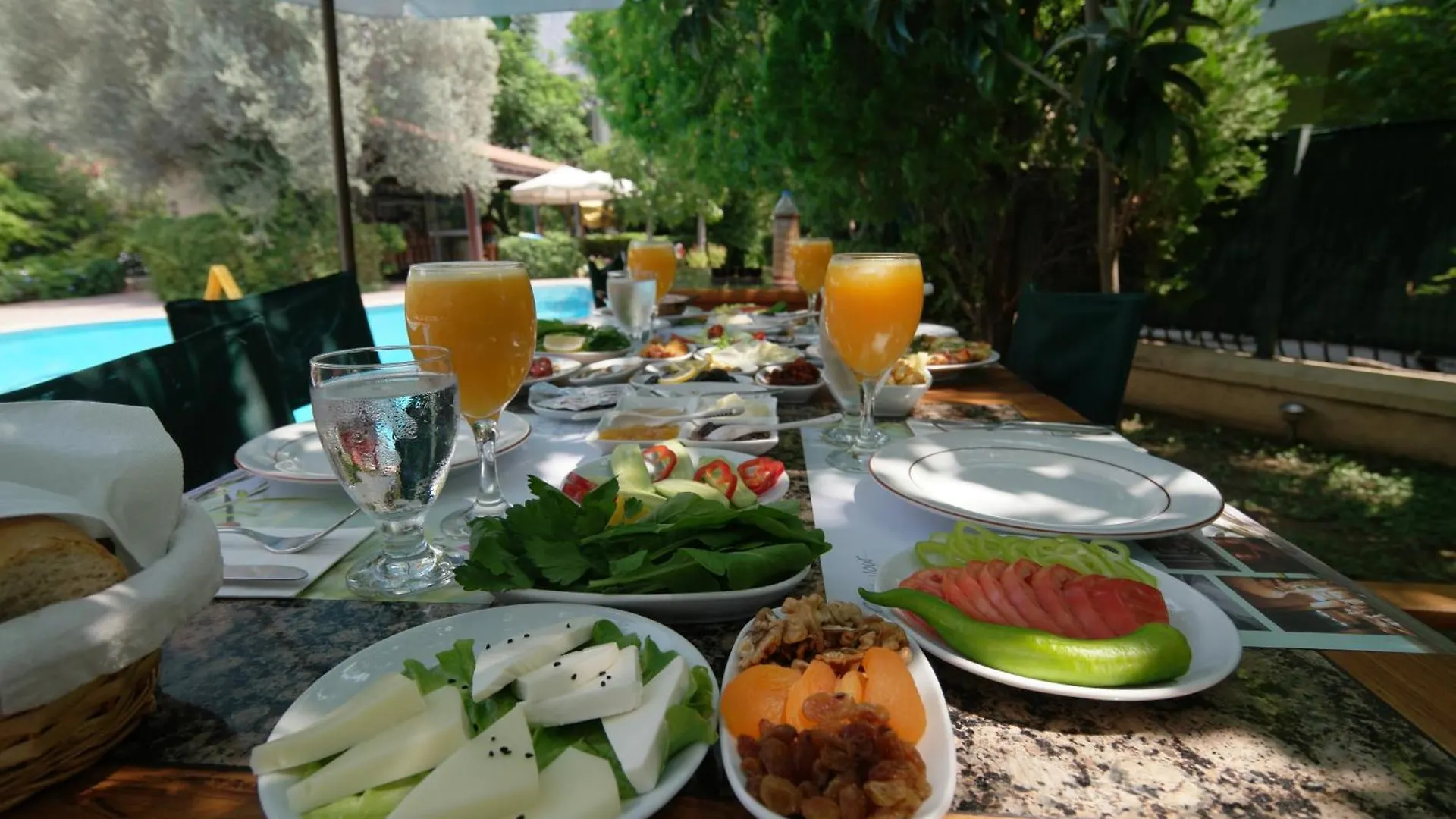 غوجيك شقق مستر ديم اكسكلوزيف الفندقية تركيا