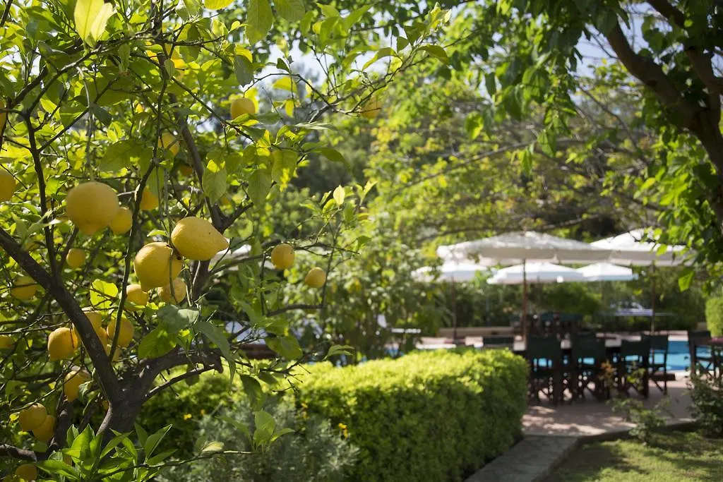 Mr. Dim Exclusive Apart Hotel Gocek  Gocek (Fethiye)